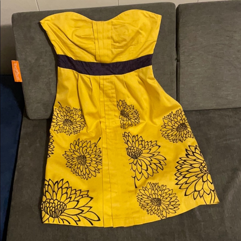 Anthropologie dress (Floreat Brand)